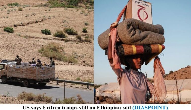 US says Eritrea troops still on Ethiopian soil