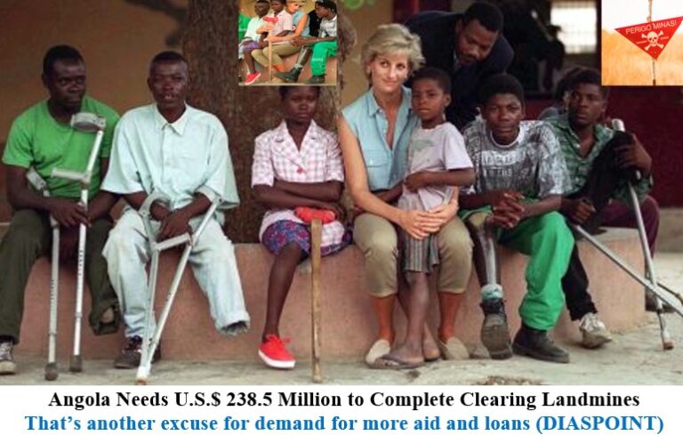 Angola Needs U.S.$ 238.5 Million to Complete Clearing Landmines