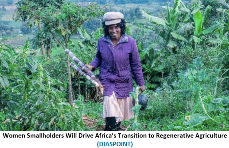 Women Smallholders Will Drive Africa’s Transition to Regenerative Agriculture