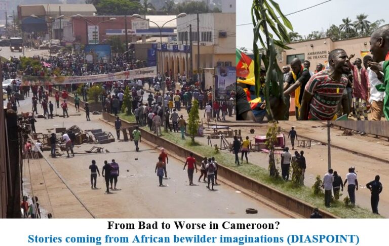 From Bad to Worse in Cameroon?