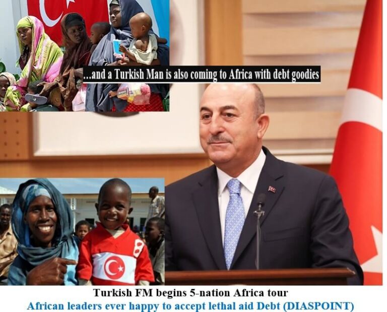 Turkish FM begins 5-nation Africa tour