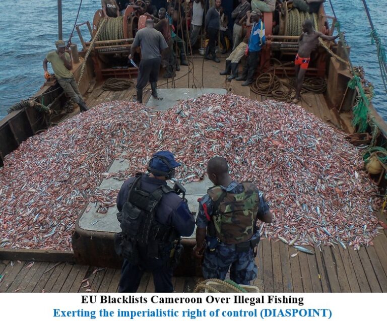 EU Blacklists Cameroon Over Illegal Fishing