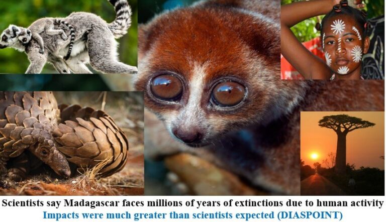 Scientists say Madagascar faces millions of years of extinctions due to human activity