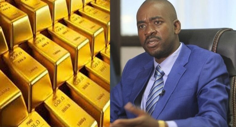 Zimbabwe freezes assets of 4 implicated in gold smuggling, money laundering